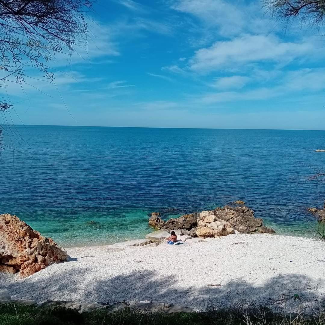 Amaste In Puglia Casa Vacanza ビシェーリエ エクステリア 写真
