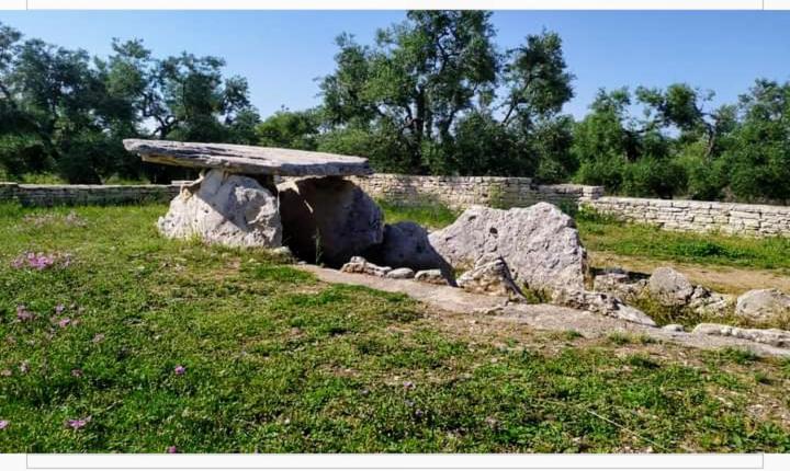Amaste In Puglia Casa Vacanza ビシェーリエ エクステリア 写真